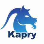 Kapry.ar la red social - INFO