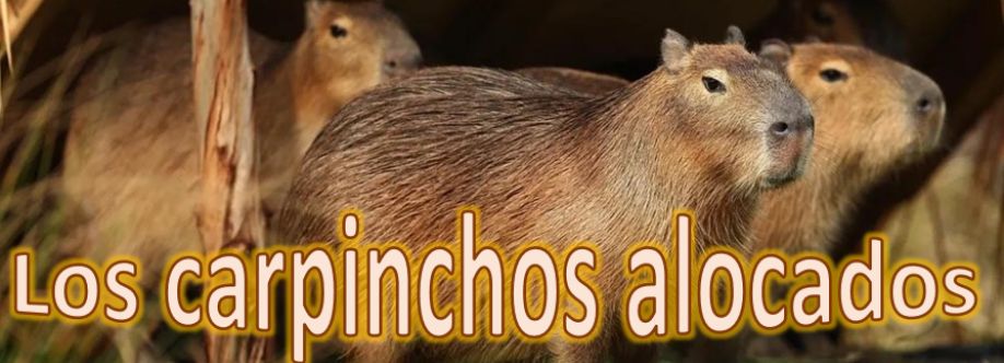 Los carpinchos alocados